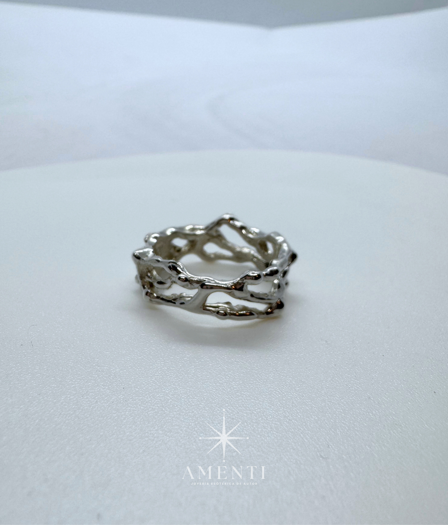 Anillo Zodiacal